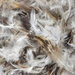 25/75 Loose Down/Feather Filling - 3 lb