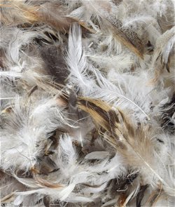 Dream Solutions USA Brand Bulk Goose Down Pillow Stuffing - Filling  Feathers - 10/90 White (1/2 LB) - Fill Stuffing Comforters, Pillows,  Jackets and
