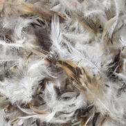 50/50 Loose Down/Feather Filling - 3 lb