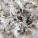50/50 Loose Down/Feather/Fiber Filling - 3 lb