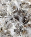 50/50 Loose Down/Feather/Fiber Filling - 3 lb