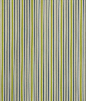Robert Allen @ Home Zoo Stripe Grey Fabric