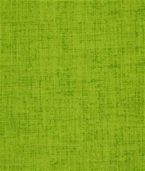 Robert Allen @ Home Baja Linen Lime Fabric