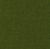 Sorrel