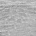 Kravet 21787.811 Naughty Natural Fabric