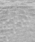 Kravet 21787.811 Naughty Natural Fabric