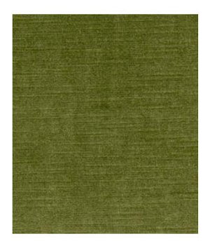 Robert Allen Savoy Thyme Fabric