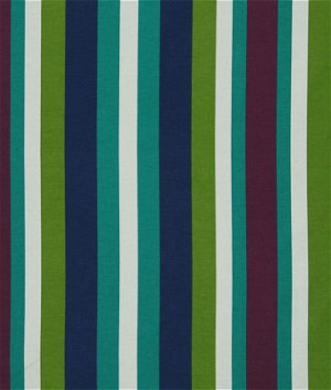 Robert Allen @ Home New Stripe Berry Blast Fabric