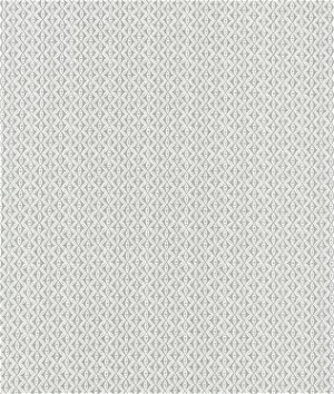 Robert Allen @ Home Hand Motif Greystone Fabric
