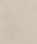 Guilford of Maine Anchorage Birch Panel Fabric