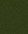 Guilford of Maine Anchorage Fern Panel Fabric