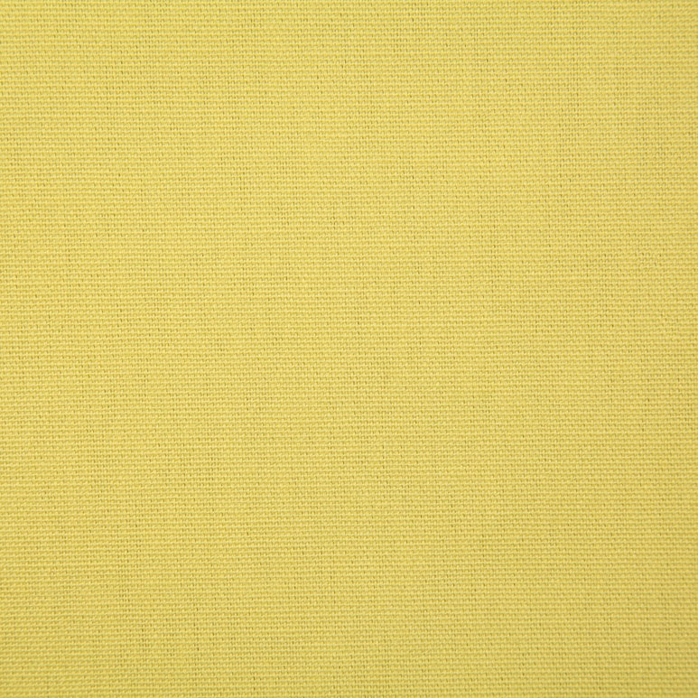 Pindler &amp; Pindler Callahan Citron Fabric
