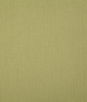 Pindler & Pindler Callahan Olive Fabric