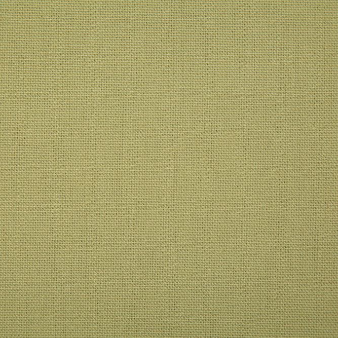Pindler &amp; Pindler Callahan Olive Fabric