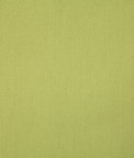 Pindler & Pindler Callahan Parrot Fabric