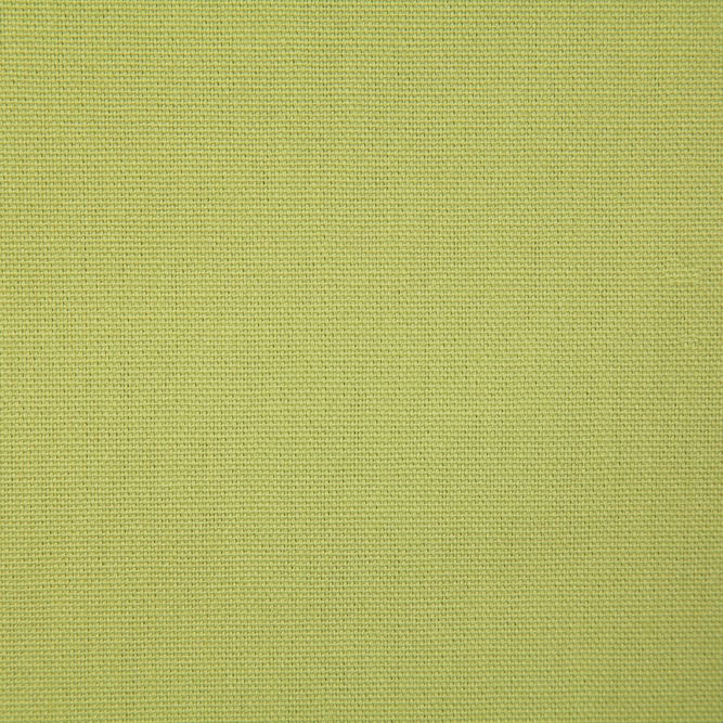 Pindler &amp; Pindler Callahan Parrot Fabric