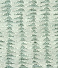 Robert Allen @ Home Folk Texture Backed Aloe Fabric