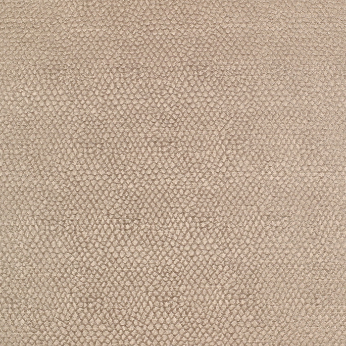 Kaslen Emery 400 Latte Fabric image 1 of 3