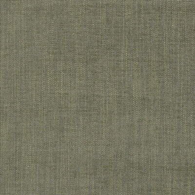 Kravet 25389.3 Shelter Moss Fabric