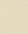 Kravet Design 25807-1116 Fabric