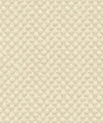 Kravet Design 25807-1116