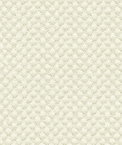 Kravet Design 25807-1 Fabric