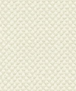 Kravet Design 25807-1