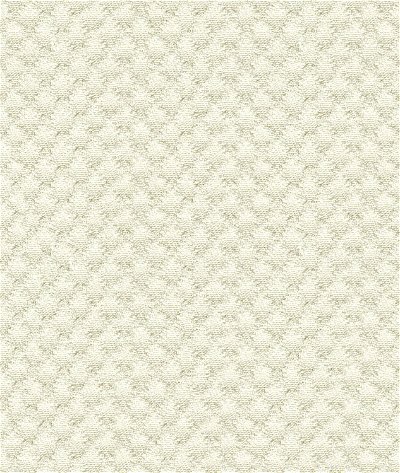 Kravet Design 25807-1 Fabric