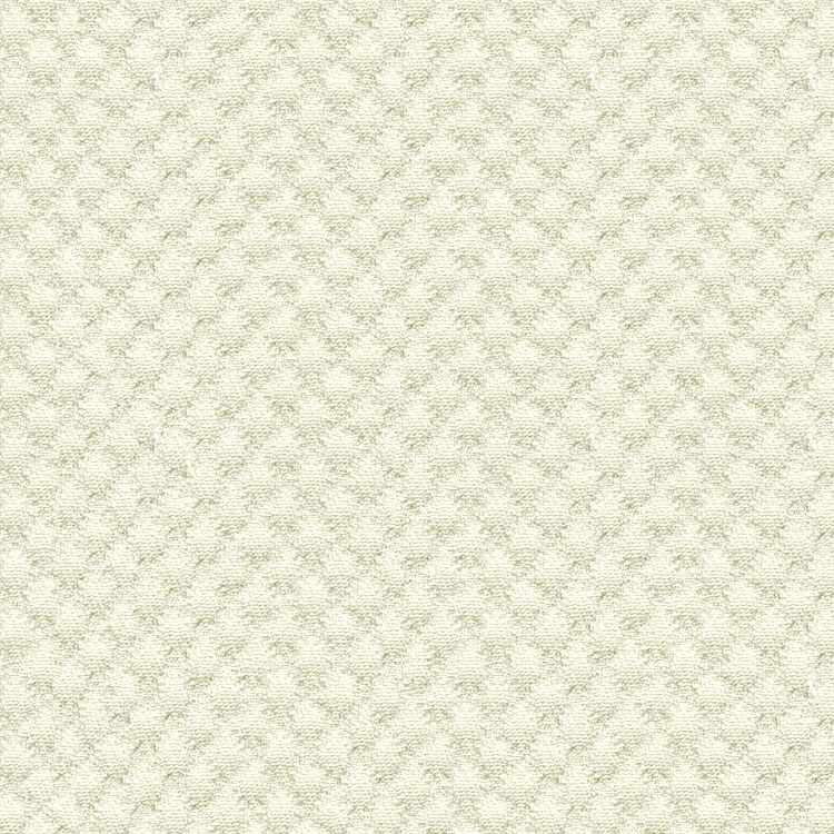 Kravet Design 25807-1 Fabric