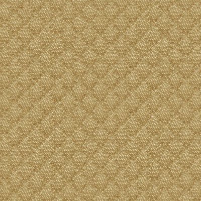 Kravet 25807.404 Jewel Box Straw Fabric