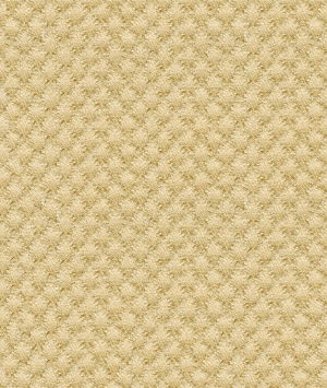 Kravet Design 25807-414 Fabric