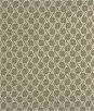 Kravet 29535.11 Wound Tight Platinum Fabric
