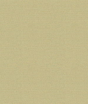 Kravet 29582.11 Jet Setter Silver Fabric