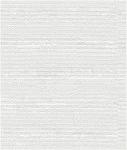 Kravet 29741.1 Classic Canvas Pearl