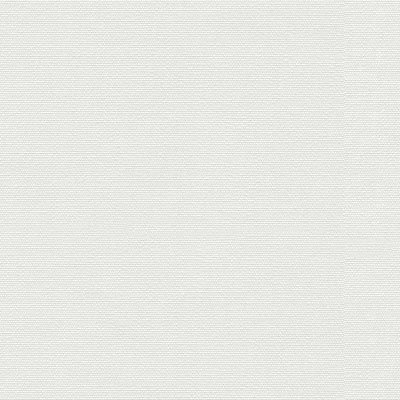 Kravet 29741.1 Classic Canvas Pearl Fabric