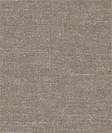 Kravet 29820.106 Covet Stone Fabric
