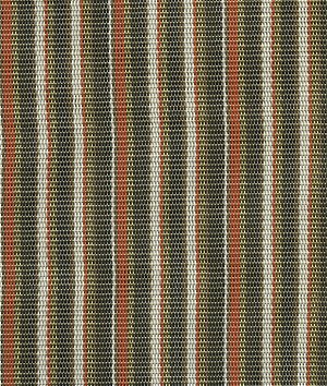 Phifertex Stripes Delray Stripe Conch Outdoor Vinyl Mesh Fabric