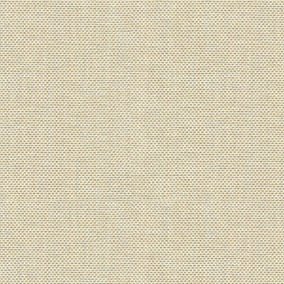 Kravet 30299.1116 Fabric