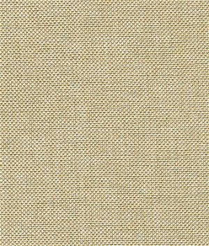 Kravet 30299.116 Fabric