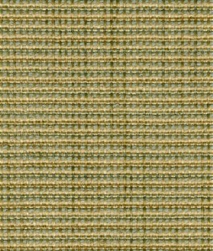 Kravet 30665.3 Fabric