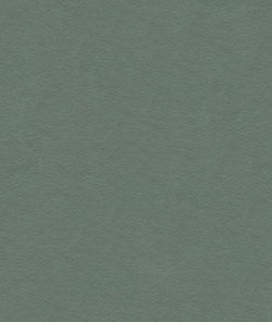 Kravet 30787.5205