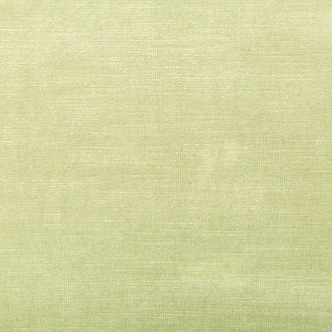 Kravet Venetian Lime Fabric