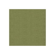 Kravet Venetian Leaf Fabric