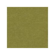Kravet Venetian Moss Fabric