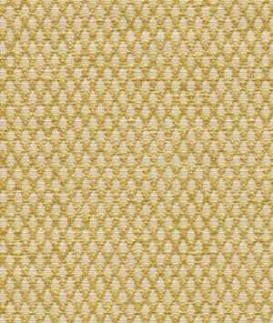 Kravet 31373.14 Fabric