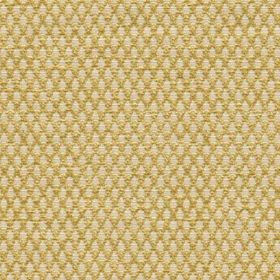Kravet 31373.14 Fabric
