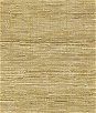 Kravet 31468.16 Sanskrit Mercurial Fabric