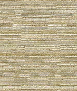 Kravet 31695.1611 Fabric