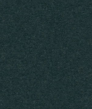 Kravet 31776.5 Fabric