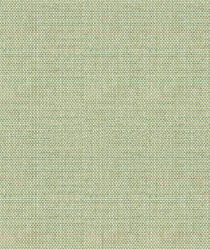 Kravet 31870.1516 Avec Amour Mineral Fabric